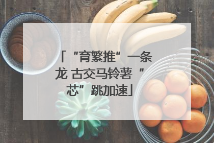 “育繁推”一条龙 古交马铃薯“芯”跳加速