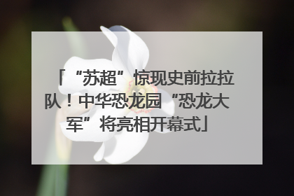 “苏超”惊现史前拉拉队！中华恐龙园“恐龙大军”将亮相开幕式
