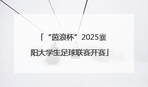 “茵浪杯”2025襄阳大学生足球联赛开赛