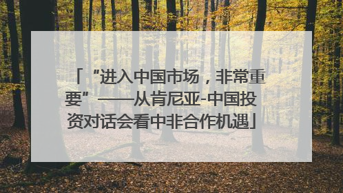 “进入中国市场，非常重要”——从肯尼亚-中国投资对话会看中非合作机遇