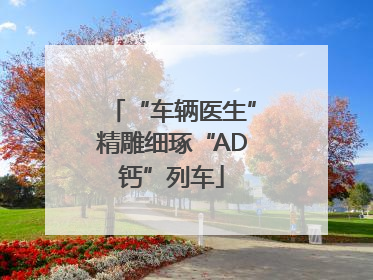 “车辆医生”精雕细琢“AD钙”列车