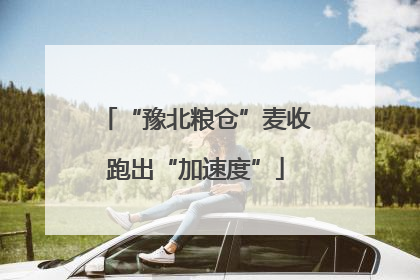 “豫北粮仓”麦收跑出“加速度”