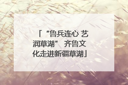 “鲁兵连心 艺润草湖” 齐鲁文化走进新疆草湖