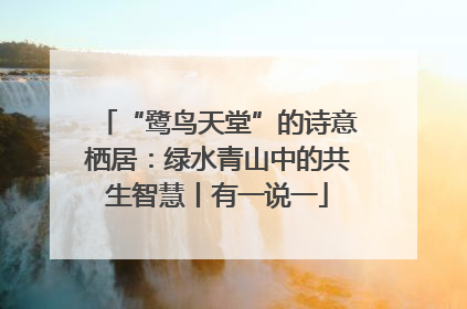 “鹭鸟天堂”的诗意栖居：绿水青山中的共生智慧丨有一说一