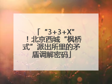 “3+3+X”！北京西城“枫桥式”派出所里的矛盾调解密码