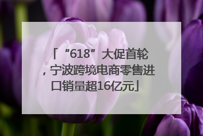 “618”大促首轮，宁波跨境电商零售进口销量超16亿元