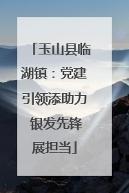 玉山县临湖镇：党建引领添助力 银发先锋展担当