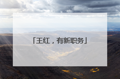 王红，有新职务