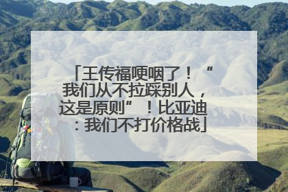 王传福哽咽了！“我们从不拉踩别人，这是原则”！比亚迪：我们不打价格战