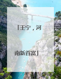 王宁，河南新首富