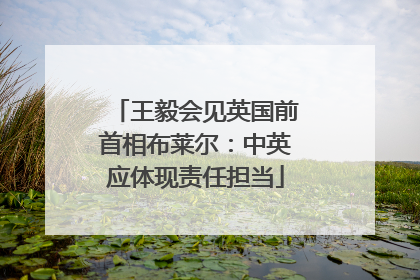王毅会见英国前首相布莱尔：中英应体现责任担当