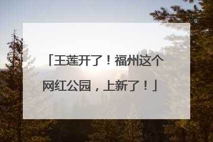 王莲开了！福州这个网红公园，上新了！