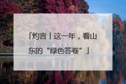 灼言丨这一年，看山东的“绿色答卷”