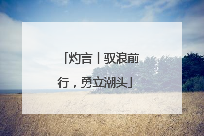 灼言丨驭浪前行，勇立潮头