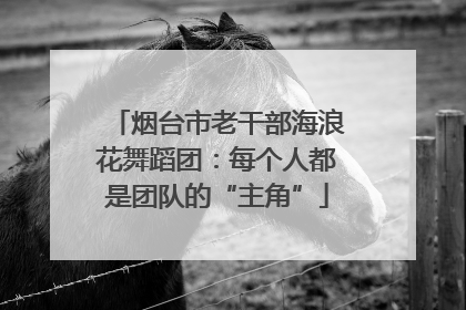 烟台市老干部海浪花舞蹈团：每个人都是团队的“主角”