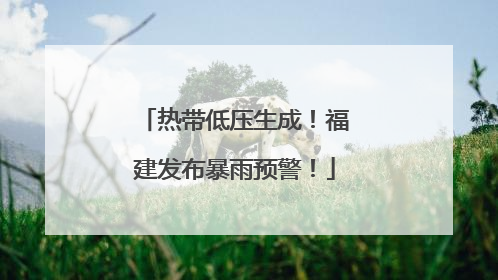 热带低压生成！福建发布暴雨预警！