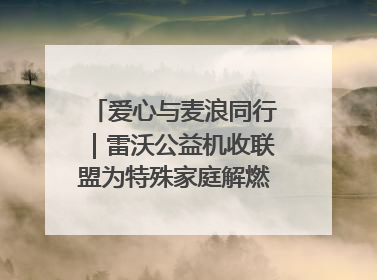 爱心与麦浪同行｜雷沃公益机收联盟为特殊家庭解燃“麦”之急