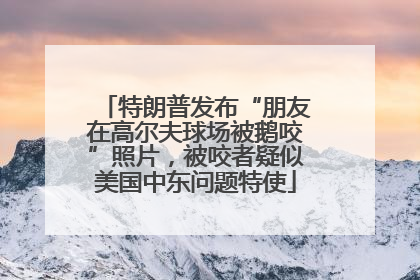 特朗普发布“朋友在高尔夫球场被鹅咬”照片，被咬者疑似美国中东问题特使