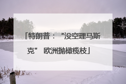 特朗普：“没空理马斯克” 欧洲抛橄榄枝