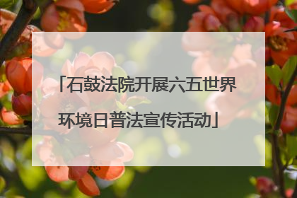 石鼓法院开展六五世界环境日普法宣传活动