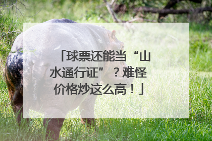球票还能当“山水通行证”？难怪价格炒这么高！
