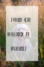 电影《麦积长歌》开机拍摄