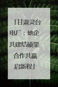 甘肃灵台电厂：地企共建结硕果 合作共赢启新程