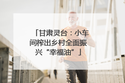 甘肃灵台：小车间榨出乡村全面振兴“幸福油”