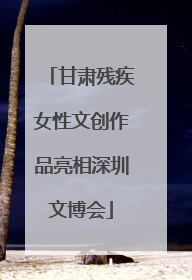 甘肃残疾女性文创作品亮相深圳文博会
