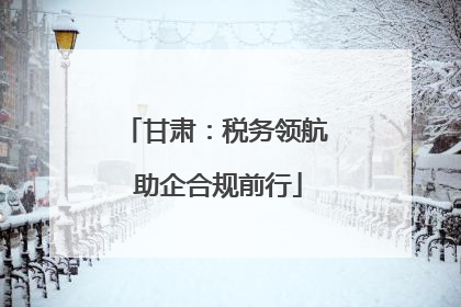 甘肃：税务领航 助企合规前行