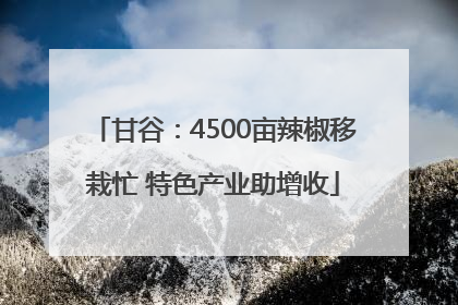 甘谷：4500亩辣椒移栽忙 特色产业助增收