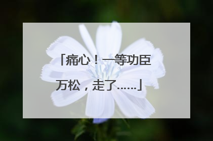 痛心！一等功臣万松，走了……