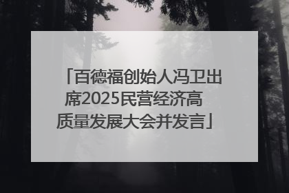 百德福创始人冯卫出席2025民营经济高质量发展大会并发言