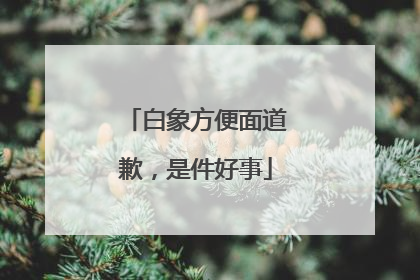 白象方便面道歉，是件好事