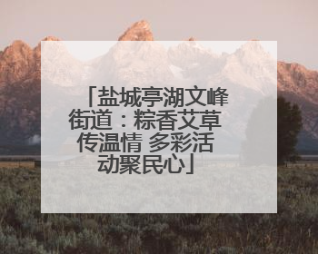 盐城亭湖文峰街道：粽香艾草传温情 多彩活动聚民心