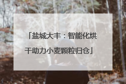 盐城大丰：智能化烘干助力小麦颗粒归仓