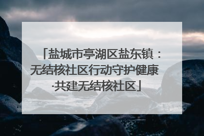 盐城市亭湖区盐东镇：无结核社区行动守护健康 ·共建无结核社区