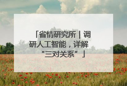 省情研究所｜调研人工智能，详解“三对关系”