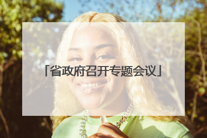 省政府召开专题会议