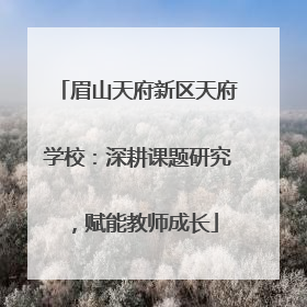 眉山天府新区天府学校：深耕课题研究，赋能教师成长