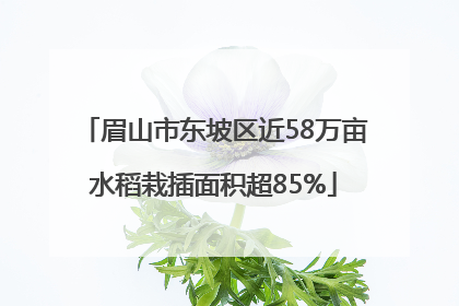 眉山市东坡区近58万亩水稻栽插面积超85%