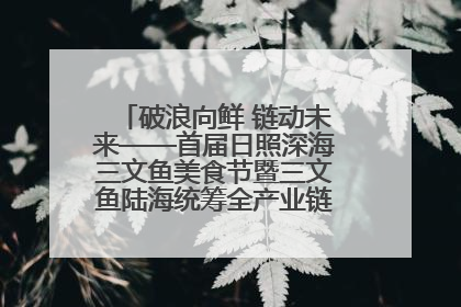 破浪向鲜 链动未来——首届日照深海三文鱼美食节暨三文鱼陆海统筹全产业链发展会议嘉宾访谈
