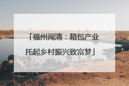 福州闽清：箱包产业托起乡村振兴致富梦