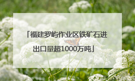福建罗屿作业区铁矿石进出口量超1000万吨