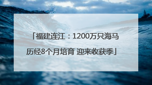福建连江：1200万只海马历经8个月培育 迎来收获季