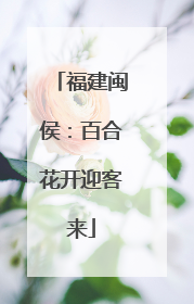 福建闽侯：百合花开迎客来