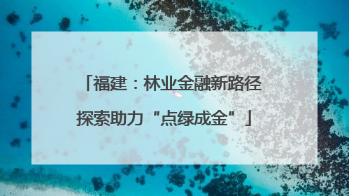 福建：林业金融新路径探索助力“点绿成金”