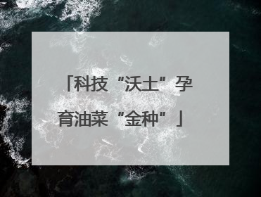 科技“沃土”孕育油菜“金种”