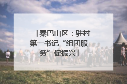 秦巴山区：驻村第一书记“组团服务”促振兴