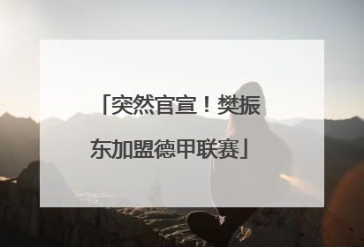 突然官宣！樊振东加盟德甲联赛